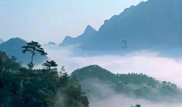 宠物营养师怎么报考?有什么要求 含金量高吗?好就业吗?